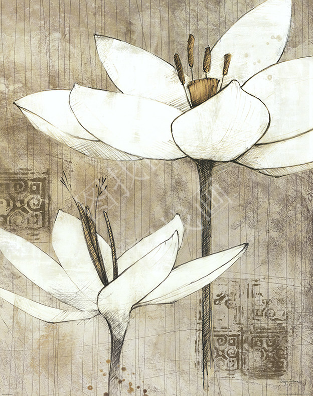 030HTK (107)30X38cm